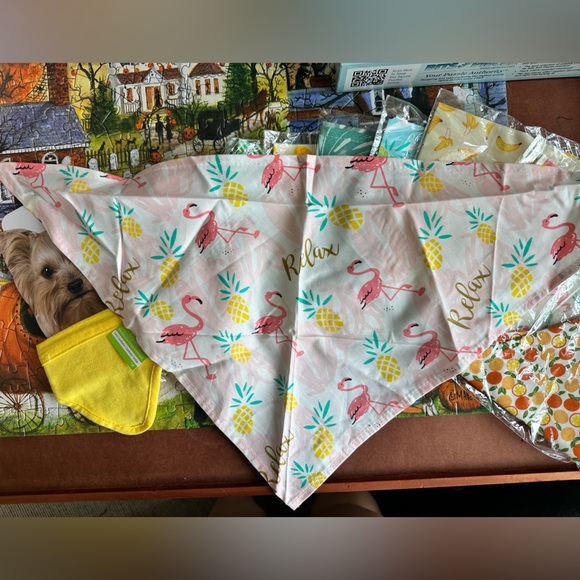 Puppy Bandanas 10 Pack! - Picture 3 of 3